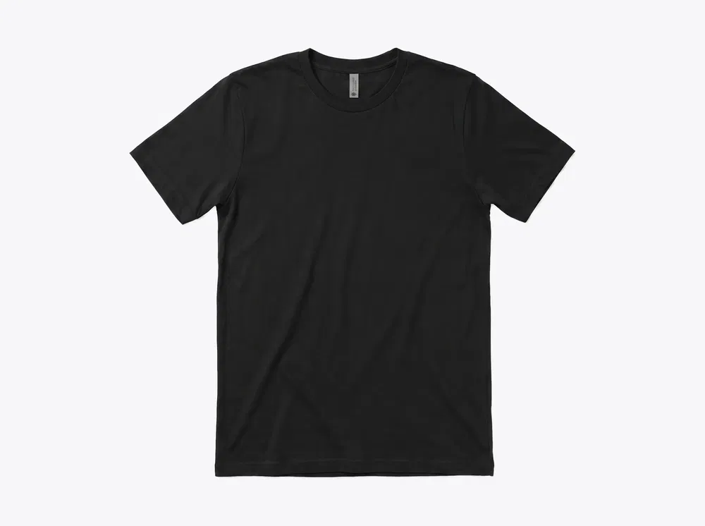 Next Level 3600 Cotton Tee in Black