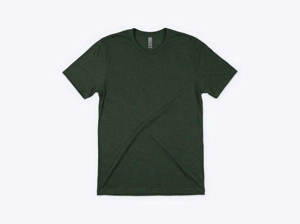Next Level NL6010 Unisex Triblend Tee in Black Forest