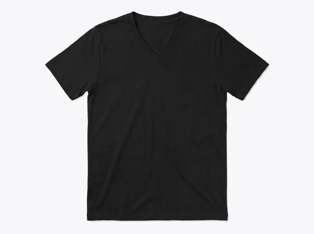 BELLA+CANVAS 3005 Unisex Jersey V-Neck Tee