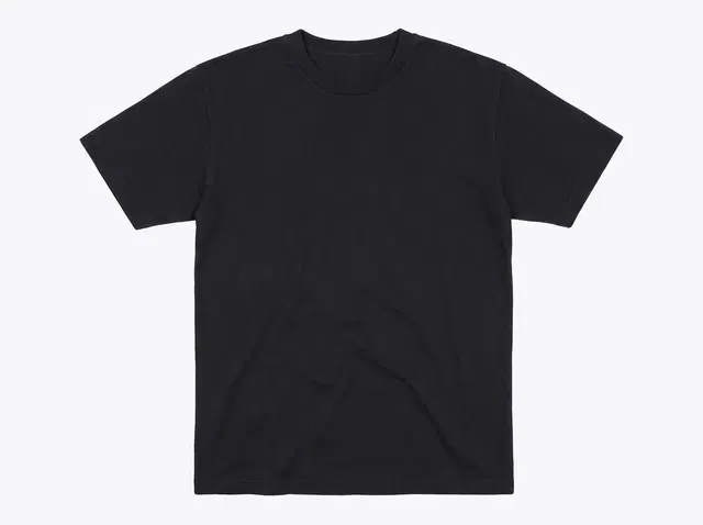 BELLA+CANVAS 4810 Heavyweight Garment-Dyed Tee