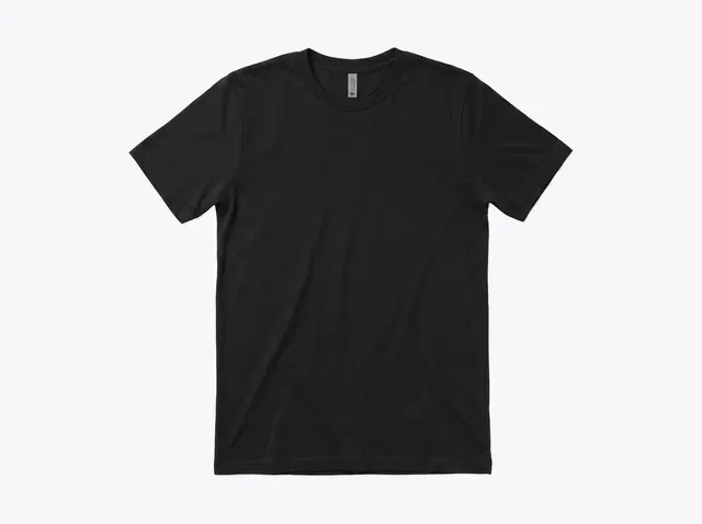 Next Level 3600 Cotton Tee