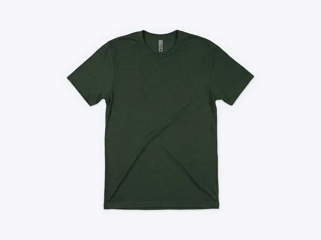 Next Level NL6010 Unisex Triblend Tee